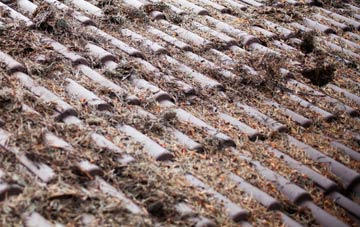 West Saltoun roof cleaning companies