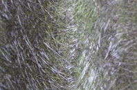 West Saltoun fibreglass roof work